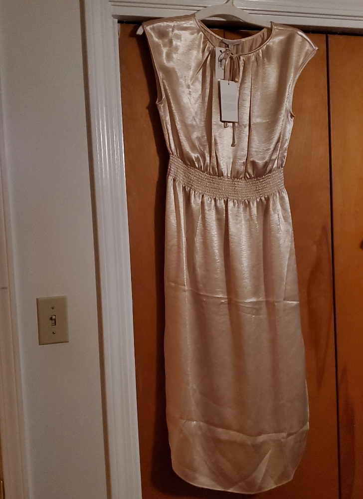 NWT Joie golden cap sleeve midi dress XS